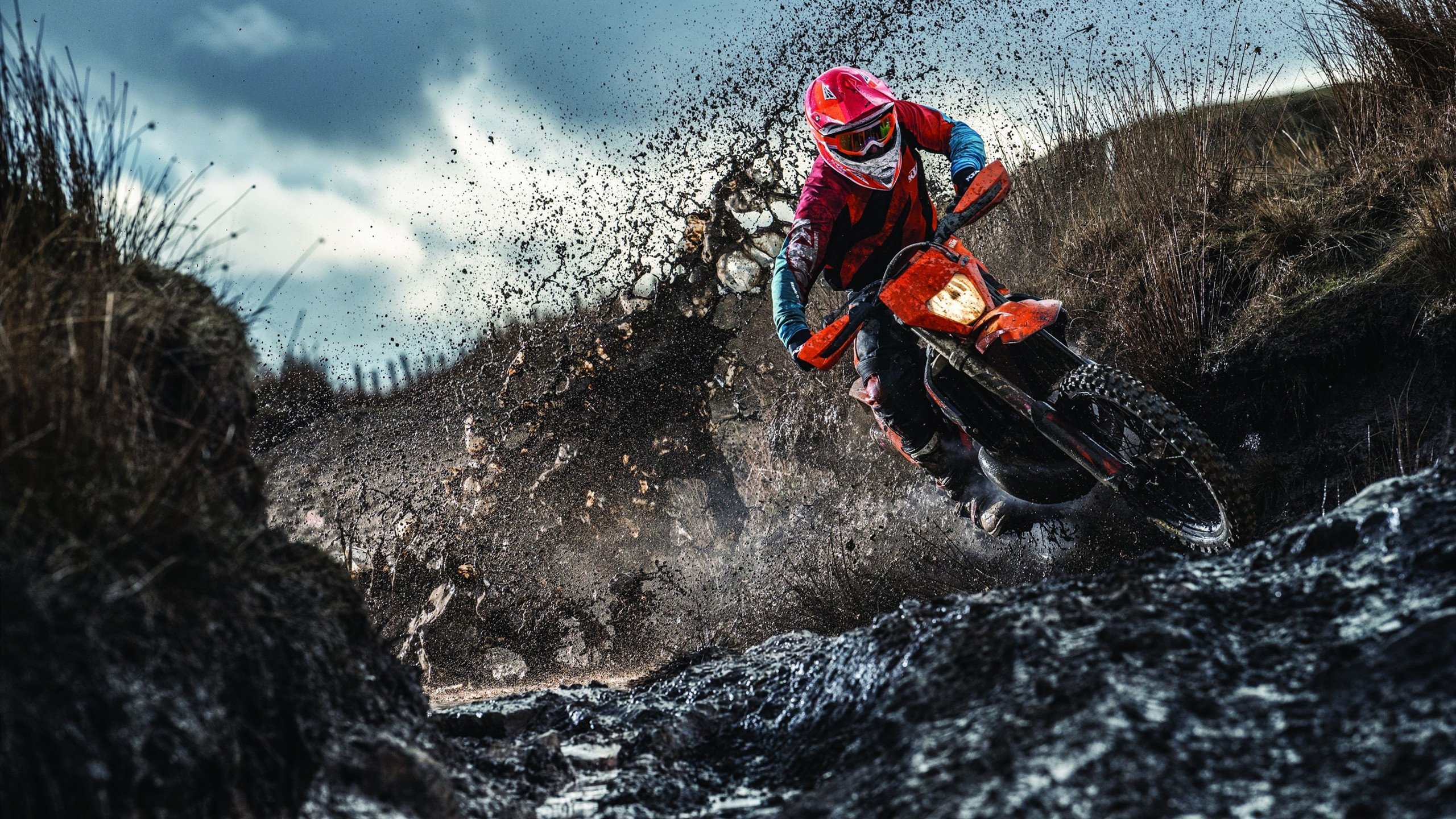 国际乒联混合团体世界杯：中国香港队的表现能否开启新时代？，国乒与香港队合影